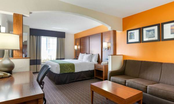 Comfort Suites Stevensville - St Joseph
