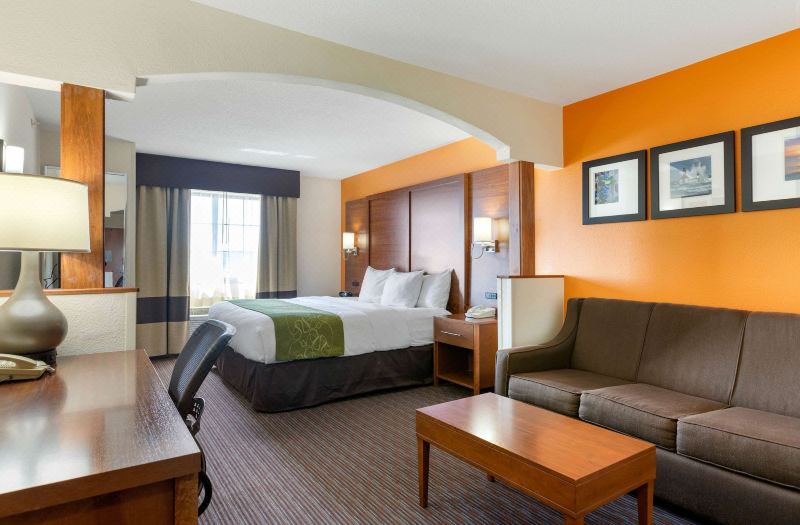 Comfort Suites Stevensville - St Joseph