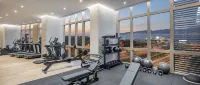 Grand Hyatt Izmir Istinyepark - Gym