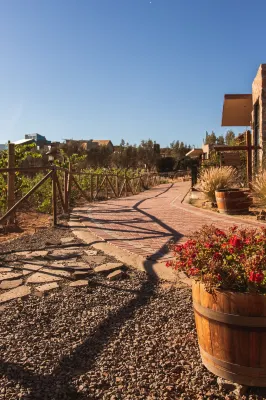 ブリサ デル バジェ ホテル ブティック