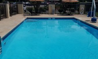 Comfort Inn & Suites Jasper Hwy 78 West