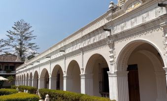 Mestizo Cortijo