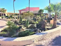 Condo Pinacate 315 by Kivoya