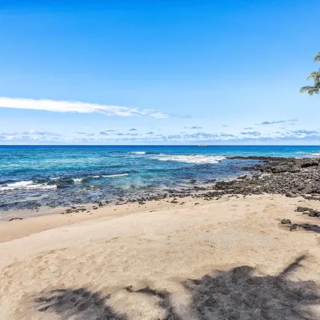 Kona Reef D32