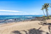 Kona Reef D32 - Beach