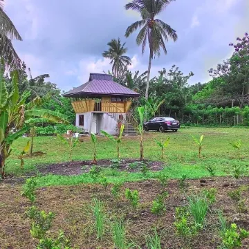 Emperor's Organic Farm