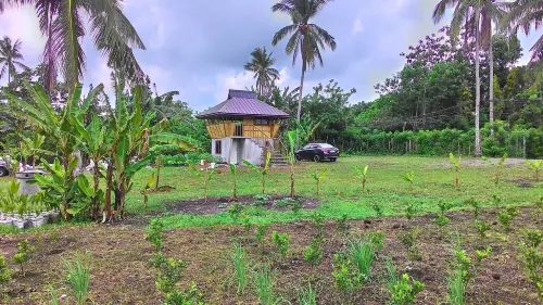 Emperor's Organic Farm