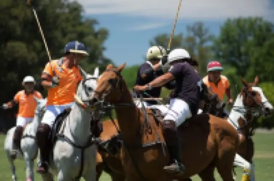 Milhouse Hostel Hipo