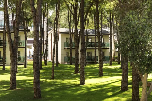 Tui Magic Life Masmavi Khu vực công cộng Photos