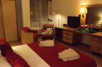 Palace Hotel & Spa - Termas de Sao Vicente Hotels in Raiva