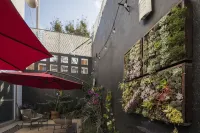 Casa Hidalgo