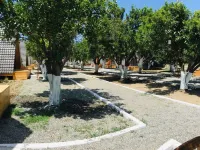 Limon Datca Hotels in Datça