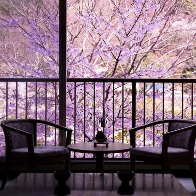 共有エリア 旅館 清少納言の写真