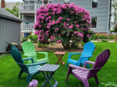 Davis Square Inn Hotels in Somerville