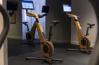 Maison Rouge Strasbourg Hotel & Spa, Autograph Collection - Gym