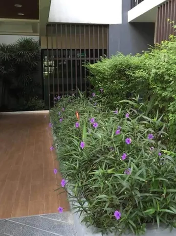 รูปภาพของไอคอนโด งามวงศ์วาน 1เอ บาย Tanny