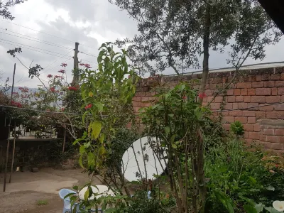 Asheton Hotel Hotels in 