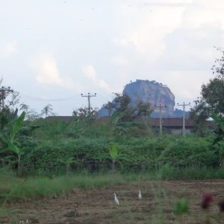 Sigiriya Vista