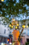 GRAND HOTEL D'ORANGE, BW SIGNATURE COLLECTION BY BEST WESTERN - bar