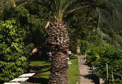 호텔 라 쿨라 델 라고의 루프탑 테라스