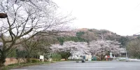 Hanatsubaki - Parking