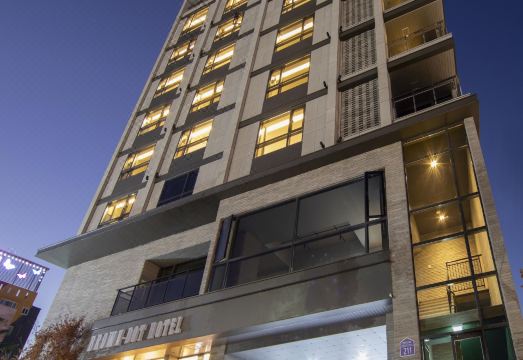 4. 브라운 도트 호..