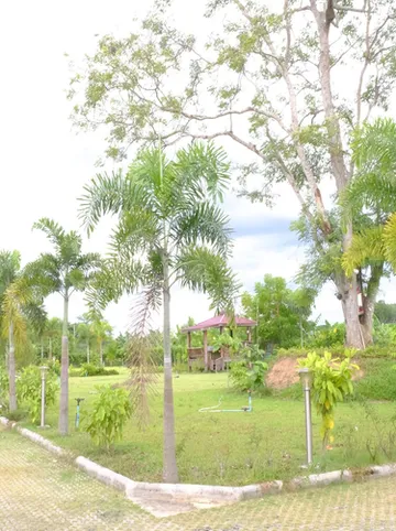 รูปภาพของบ้านไม้หอมรีสอร์ท