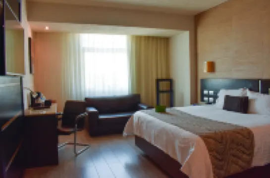 Hotel Portobelo Hotels in 