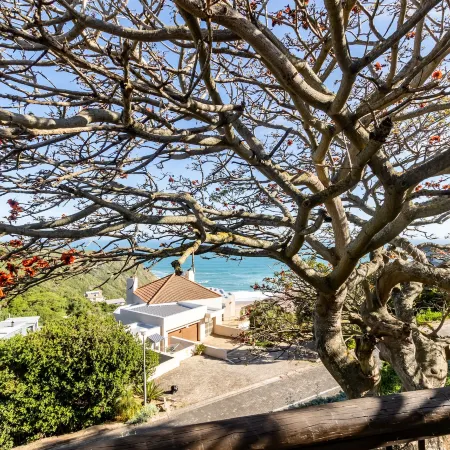 Dutton's Cove Guest House