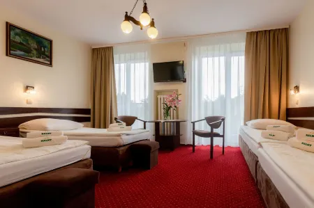 Halny Pensjonat Отели рядом со станцией Закопане