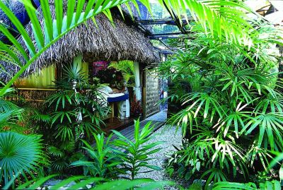 共有エリア キャスタウェイ アイランド フィジー ママヌザ アイランズの写真