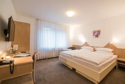 Hotel am Wasen Hotels in GroBbottwar