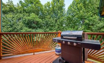 Mountain View Holy Smoky Cabin