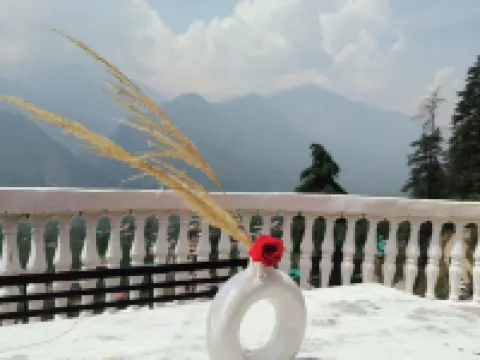 THE KAILASHA Hotels in Naggar