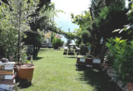 Villa Stone up to Ble Alb Hotels in 