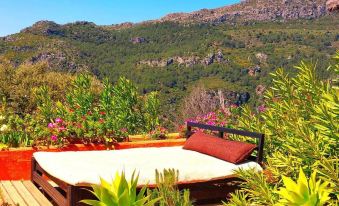 Casa Pino with Private Pool and Garden