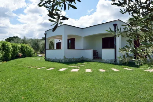 Masseria Torre dei Preti - Homestays