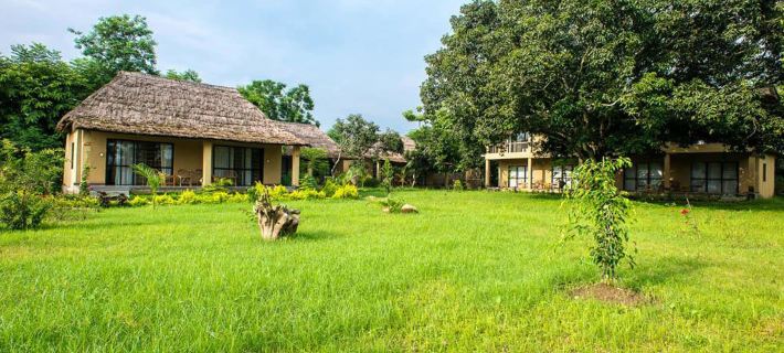Into the Wild Eco Resort Hotels in Chitawanin piirikunta