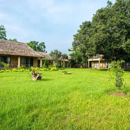 Into the Wild Eco Resort