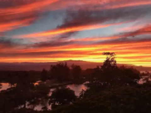 Epic Oceanfront Penthouse with Best Views in Hilo!