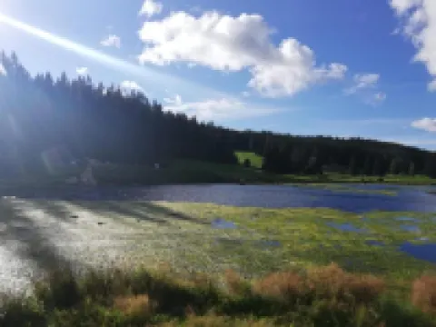 Holiday Home in Ramsbeck with Garden Hotels in Bestwig