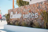 cactus suites