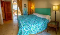 Villa Alma - Oceanfront - 10 guests - pet friendly - at Stella, Rincón