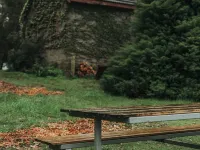 Romantic Farmlet Escape - Mini Goats & Firepit Hotels in Penguin
