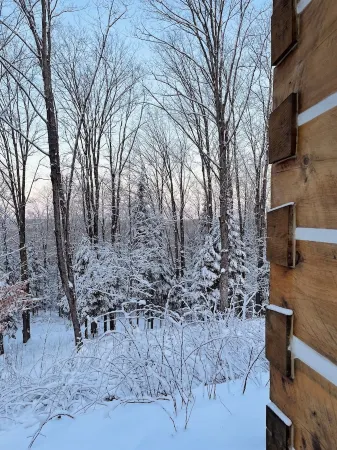 Log cabin on the hill