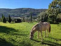 Garden Cottage, Loventuro rural house
