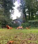 Riverfront House near Cow Shoals - King bed & WiFi
