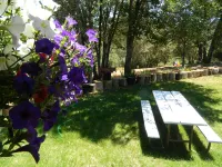 Hidden Treasure on the way to Yosemite Valley full of Native American History فنادق في Midpines