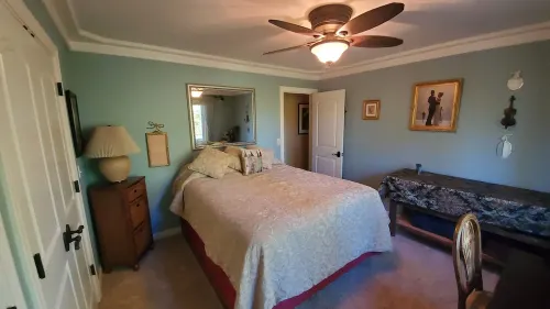 Peaceful Elegace in the Forest