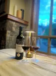 Chic mountain ski-in condo. Cozy gas fireplace, luxuriously appointed. Hotels near Fernie Alpine Resort